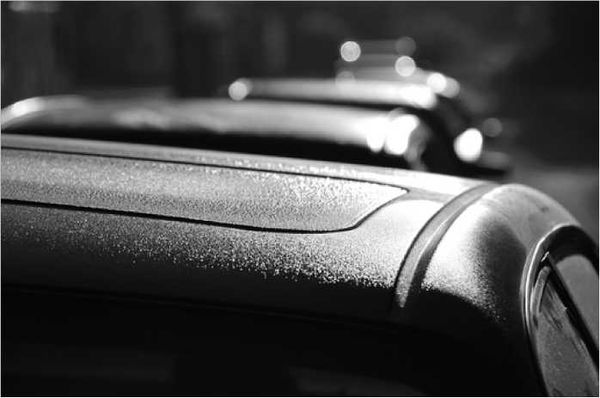 Олег Ермаков - Покинутые или Безумцы