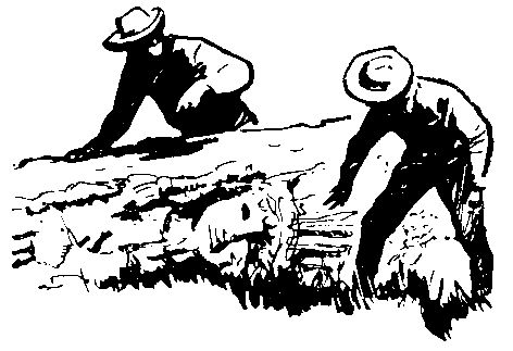 Глеб Голубев - Следствие сквозь века