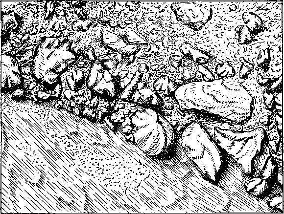 Леонид Серебрянный, Андрей Орлов - Ледники в горах