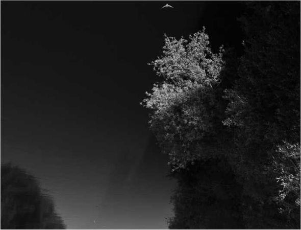 Олег Ермаков - Покинутые или Безумцы