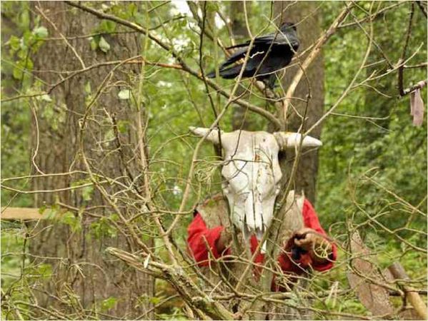 Олег Ермаков - Покинутые или Безумцы