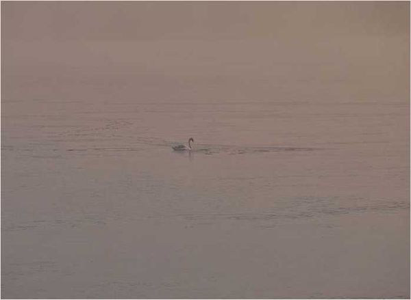 Олег Ермаков - Покинутые или Безумцы