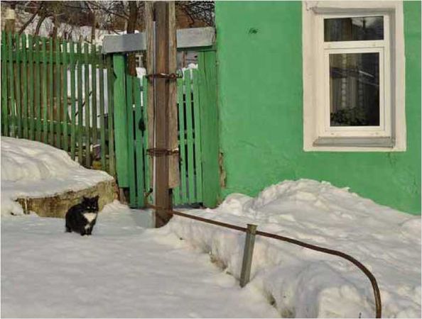 Олег Ермаков - Покинутые или Безумцы