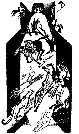 Томас Майн Рид - Отважная охотница. Вольные стрелки