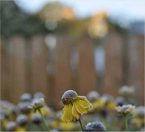 Олег Ермаков - Покинутые или Безумцы