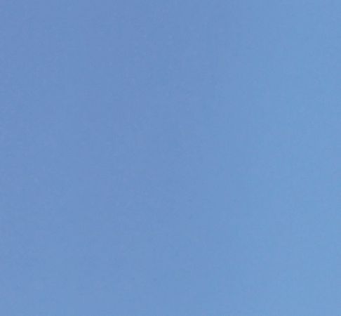 Александр Пшера - Интернет животных. Новый диалог между человеком и природой