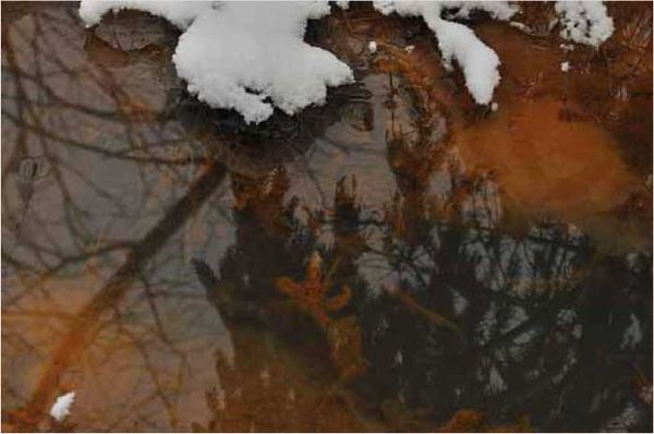 Олег Ермаков - Покинутые или Безумцы