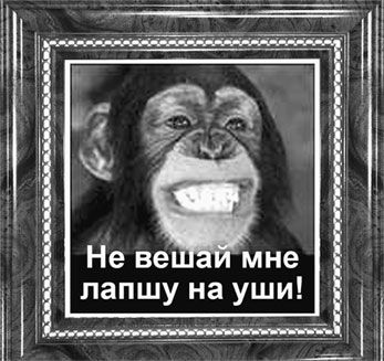 Эрнст Мулдашев - Матрица жизни на Земле