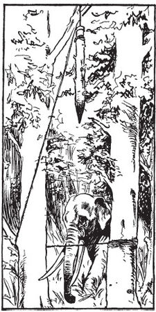 Чарльз Квеннелл, Марджори Квеннелл - Первобытные люди. Быт, религия, культура