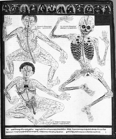 Эрнст Мулдашев - Матрица жизни на Земле