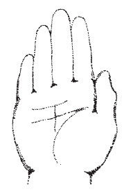 Наоми Тикл - Лицо - зеркало души. Физиогномика для всех