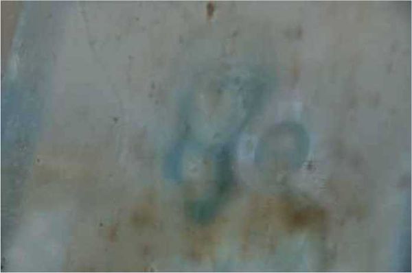 Олег Ермаков - Покинутые или Безумцы