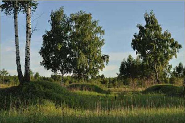 Олег Ермаков - Покинутые или Безумцы