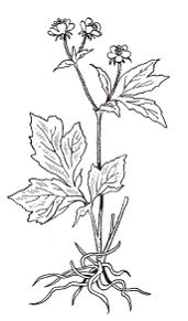 Светлана Хворостухина - Всё о специях