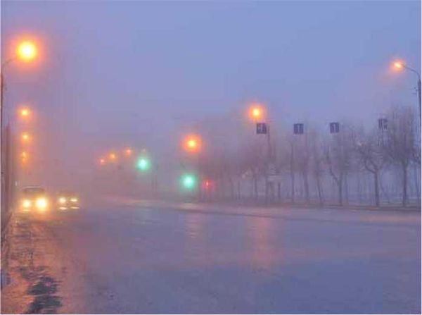 Олег Ермаков - Покинутые или Безумцы