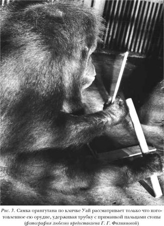 З. Зорина, А. Смирнова - О чем рассказали "говорящие" обезьяны:...