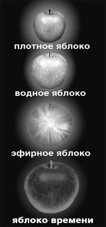 Эрнст Мулдашев - Матрица жизни на Земле