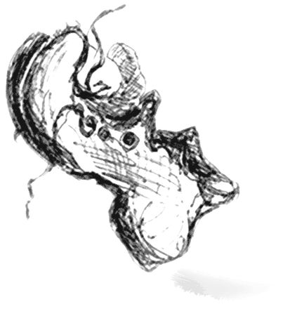 Владимир Леви - Направляющая сила ума