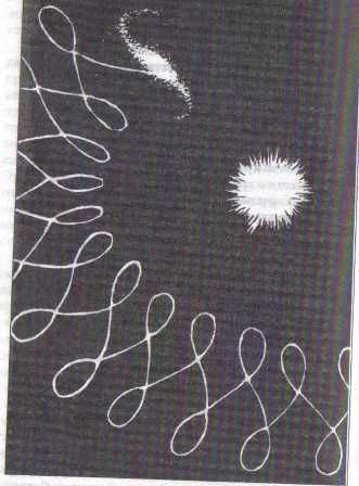 Амора Гуань-Инь - Плеядеанская Тантра: Пробуждение энергии Ба