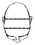 Наоми Тикл - Лицо - зеркало души. Физиогномика для всех