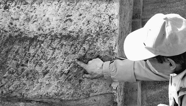 Эрнст Мулдашев - Матрица жизни на Земле