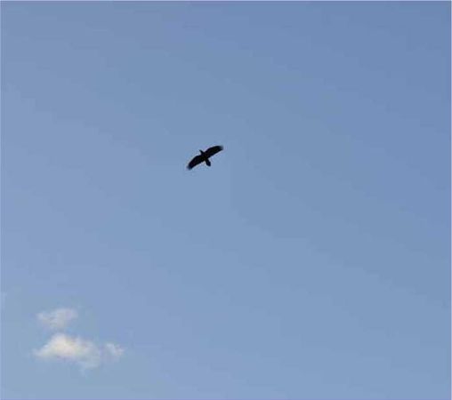 Олег Ермаков - Покинутые или Безумцы