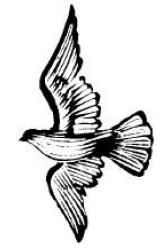 Н. Фомина - Афоризмы. Мужчина и женщина