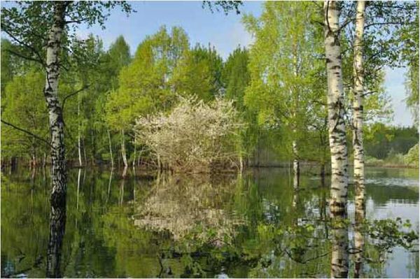 Олег Ермаков - Покинутые или Безумцы