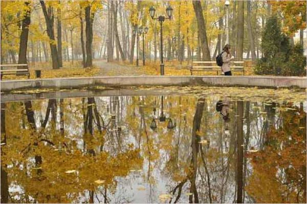 Олег Ермаков - Покинутые или Безумцы