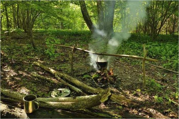 Олег Ермаков - Покинутые или Безумцы