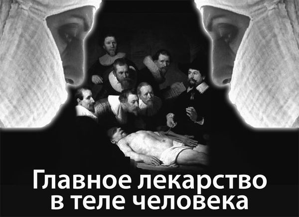 Эрнст Мулдашев - Матрица жизни на Земле