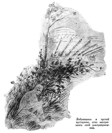 Николай Томан - Мимикрин доктора Ильичева