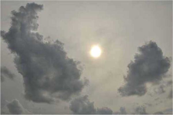 Олег Ермаков - Покинутые или Безумцы