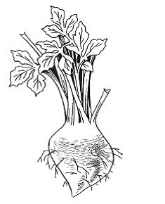 Светлана Хворостухина - Всё о специях