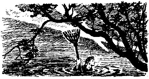 Леонид Платов - Секретный фарватер (Художник В. Бибиков)