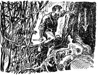 Ада Чумаченко - Человек с луны