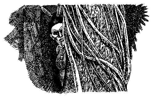 Эдуард Кондратов - Птица войны. Повесть о маори