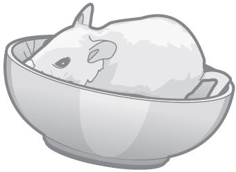 Питер Арнольд - 100 забавных игр для семейных праздников