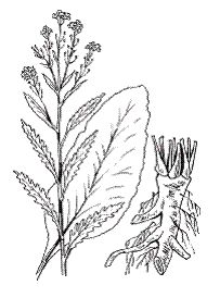 Светлана Хворостухина - Всё о специях