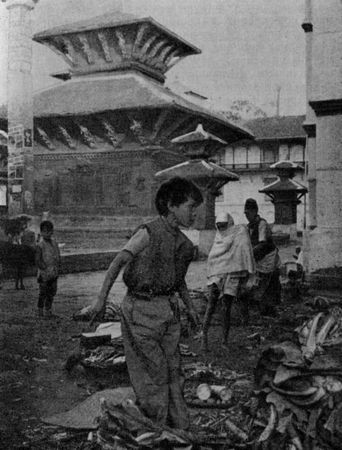 Дервла Мерфи - Девственная земля