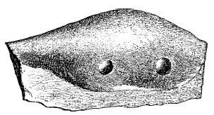 Генрих Шлиман - Троя