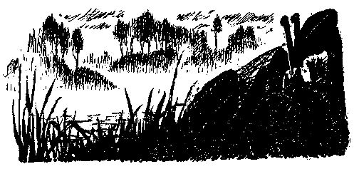 Леонид Платов - Секретный фарватер (Художник В. Бибиков)