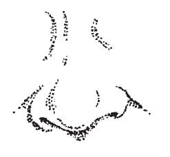 Наоми Тикл - Лицо - зеркало души. Физиогномика для всех