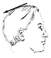 Наоми Тикл - Лицо - зеркало души. Физиогномика для всех