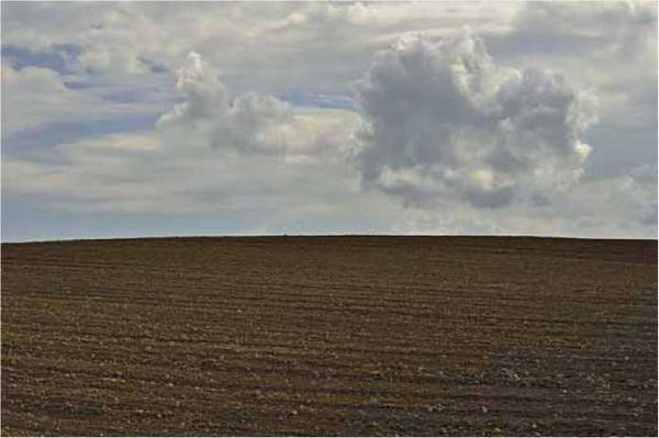 Олег Ермаков - Покинутые или Безумцы