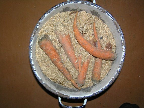 Андрей Кашкаров - Экологически чистые продукты на вашем участке. Практическая...