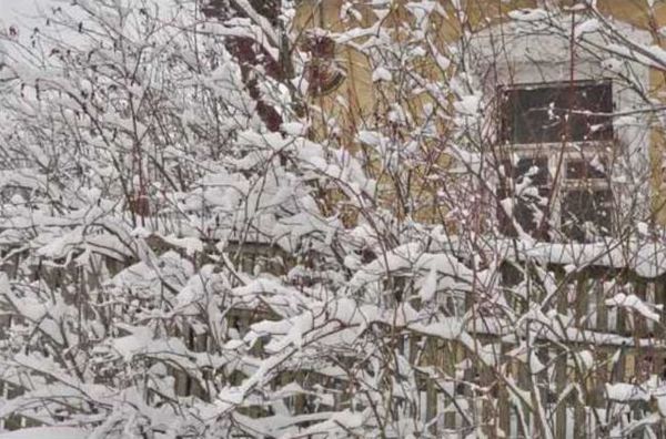 Олег Ермаков - Покинутые или Безумцы