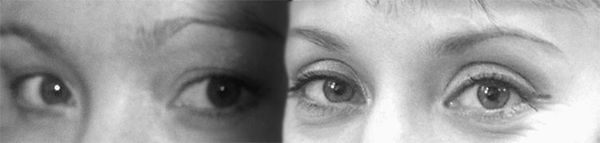 Матрица жизни на Земле