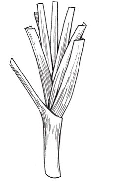 Светлана Хворостухина - Всё о специях