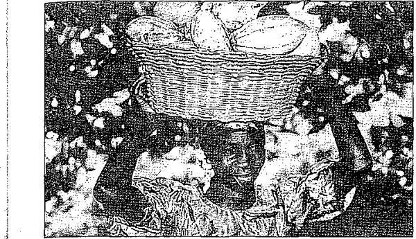 Клаус Вернер, Ганс Вайс - Черная книга корпораций